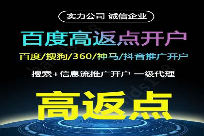 竞价SEM策略在金融行业的成功实践
